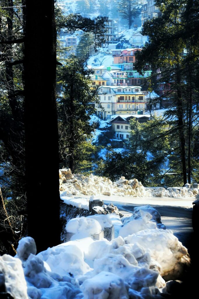 shimla